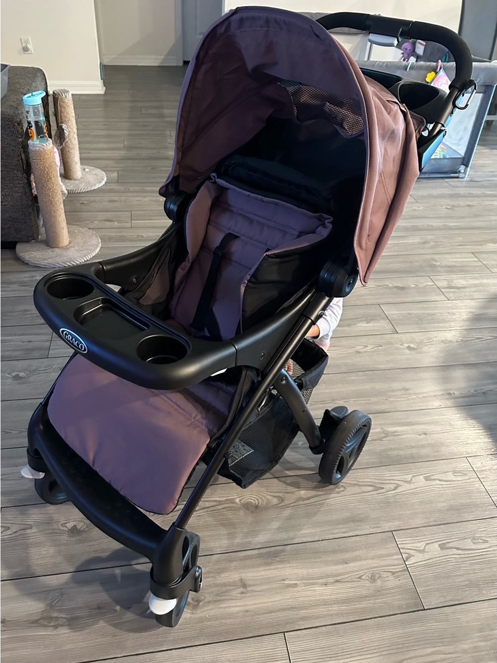 Graco verb - Picture 4 of 7
